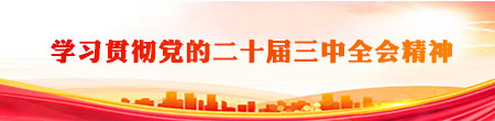 学习贯彻党的二十届三中全会精神